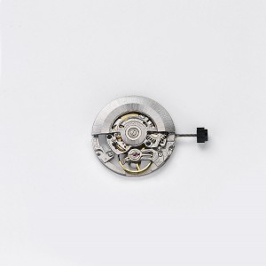 SW200-1 semi-skeleton...